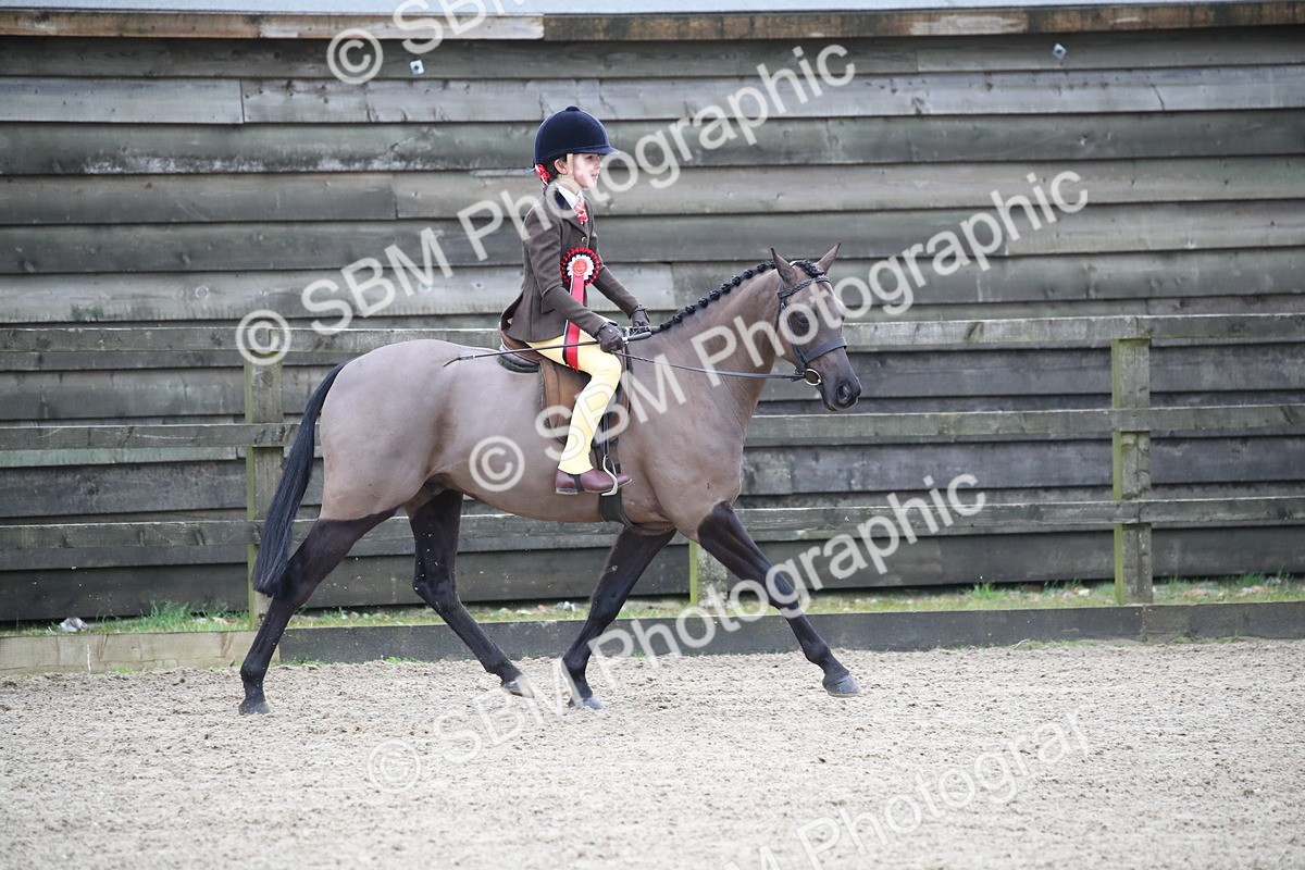 SBM_004633 - Class 5-9 - NPS In Hand-Show Hunter-Intermediate Ridden Inc Ridden Championship