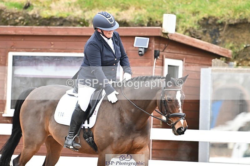 250216-120510-05205 - 114-Colleen.Hoekstra.Knox-Foxhill.Betty.Boo