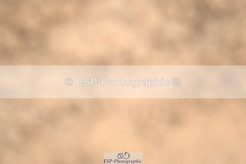 240317A-104513-05150 - Cls 25 Snr 1.20m Open