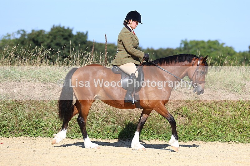 3E7A7881 - Class 14: Tack and Turnout