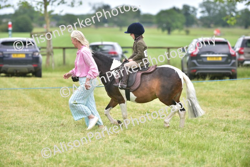 20260614-2692 - Class 13 - Pony Club Pony