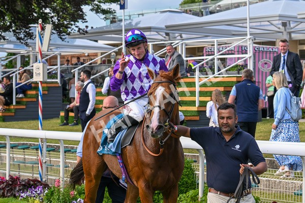 310525-Race 7-Mums Tipple-0507 - Race 7 5.00pm William Hill Best Odds Guaranteed Handicap