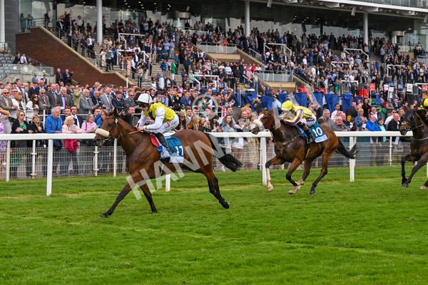 140624-Race 5-Invisible Friend-5245 - Race 6 4.45pm Irish Thoroughbred Marketing Handicap