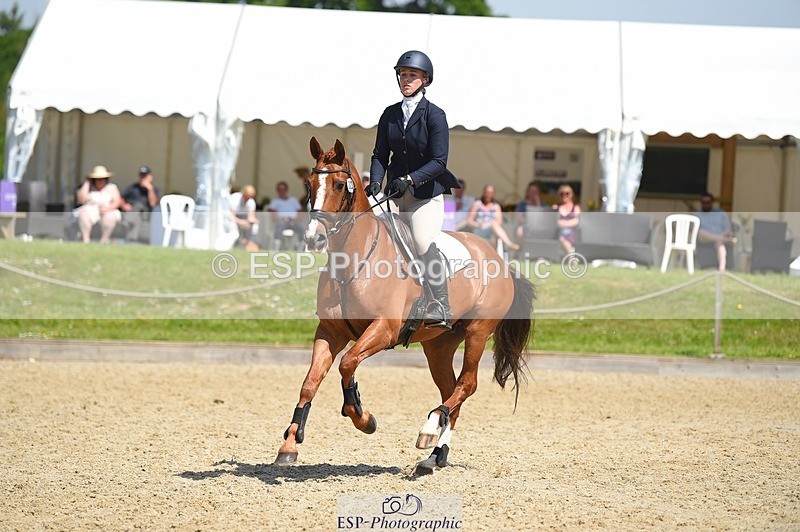 230528-113222-15253 - 323-CHESTNUT_BOBBY-Molly_Fletcher-SUNTrotUp+SJ