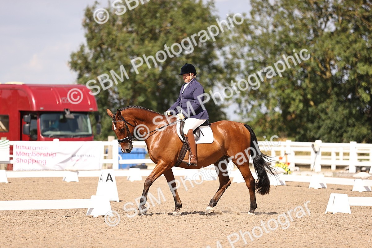 SBM_03646 - CLass 35 Intro 3