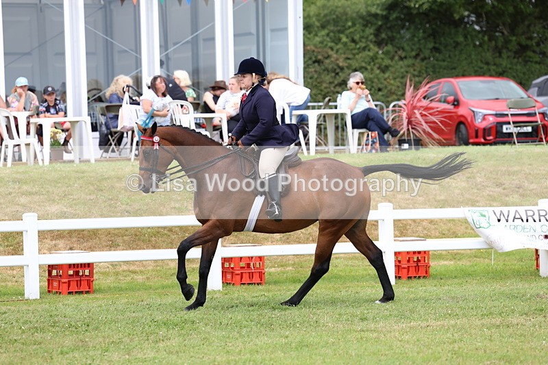 3E7A0934 - Class 8: Open Riding Horse/Hack