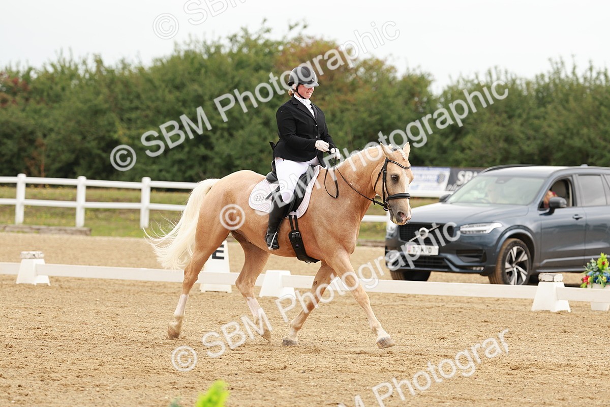 SBM_009140 - Class 12 - Elementary 6 - 9.30-10.34