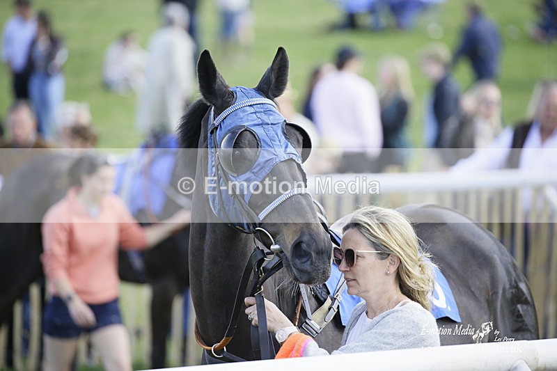 PtP 180422 213 - Old Berkshire PtP Lockinge 18/04/22