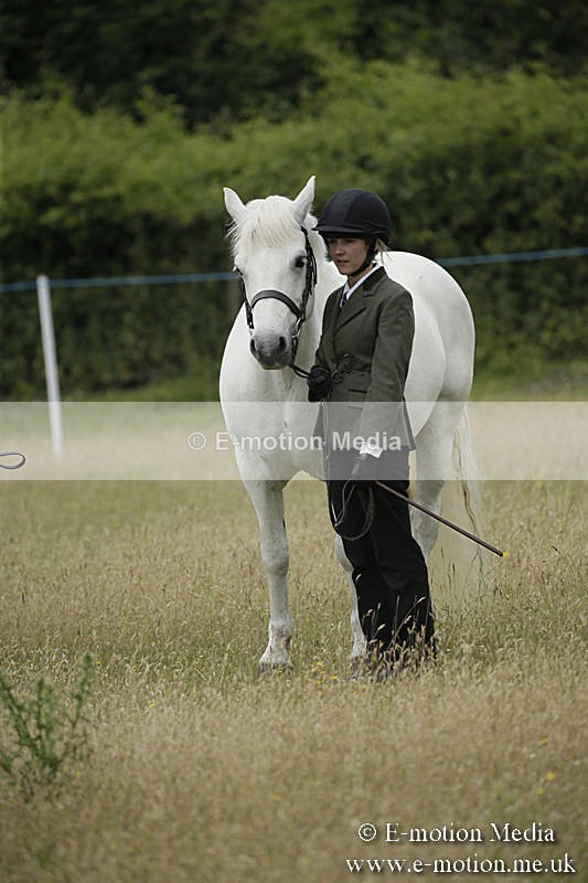 B230619-0385 - Bourne Valley Riding Club Summer Show 23/06/19