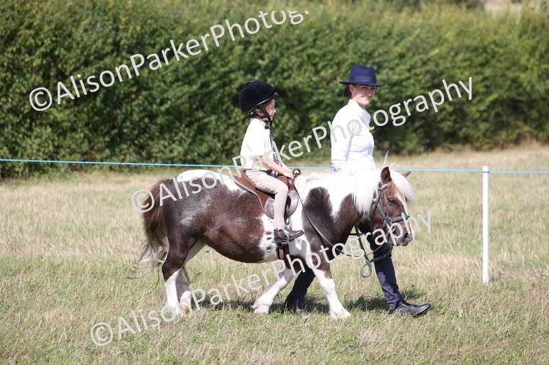 20260906-2736 - Class 25 - Absolute Beginners Pony