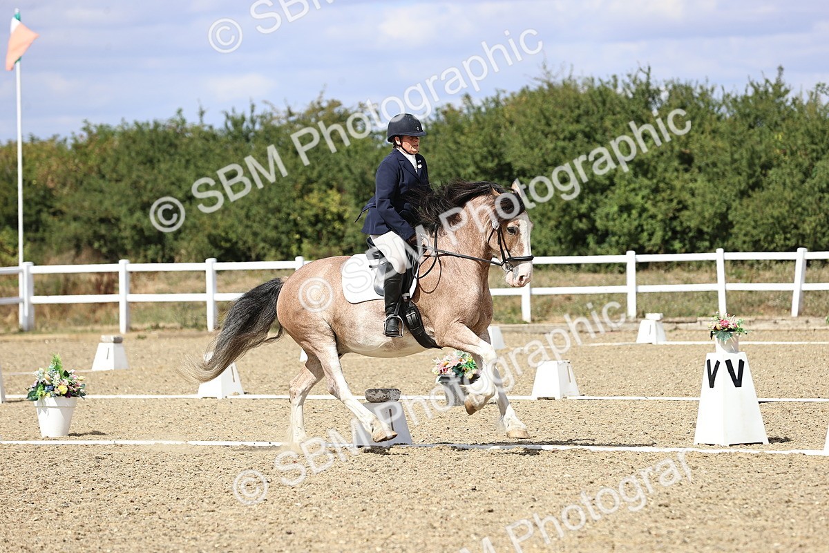 SBM_014567 - Class 5 - E5 Bronze 13.30.14.18