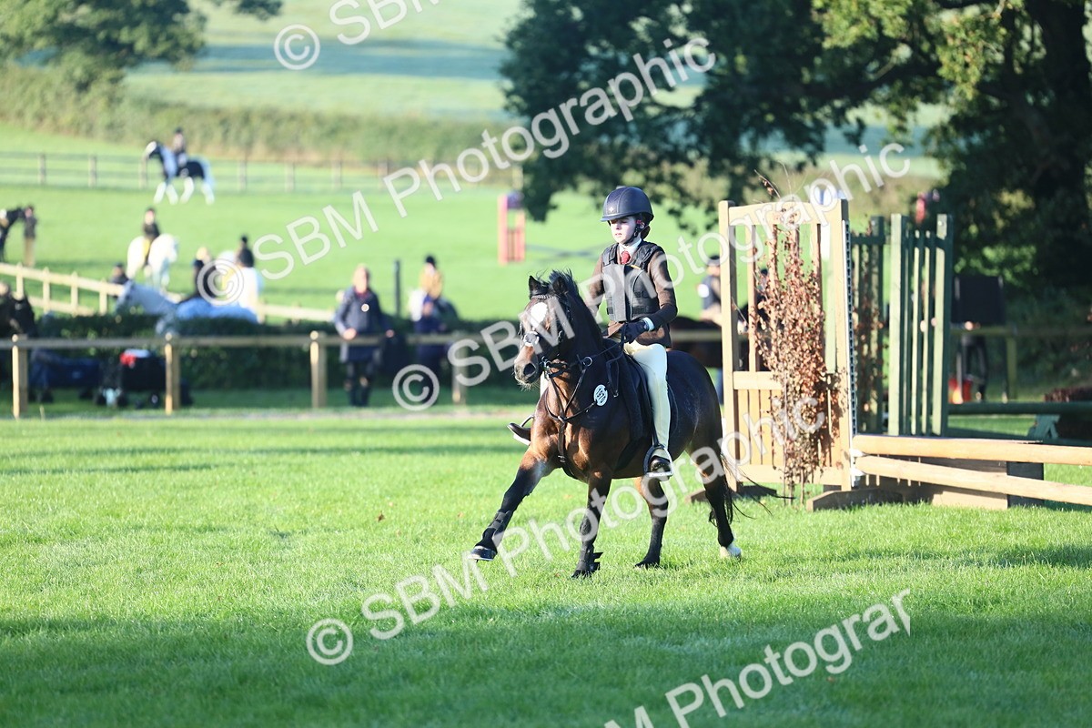 SBM_31883 - S28 - Nursery Stakes Working Hunter Pony