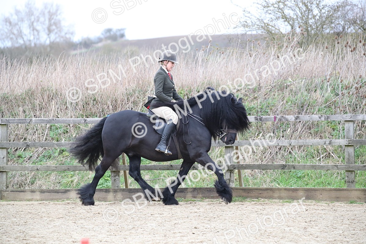 SBM_007173 - Class 10-13 - RIHS Small Large Breeds