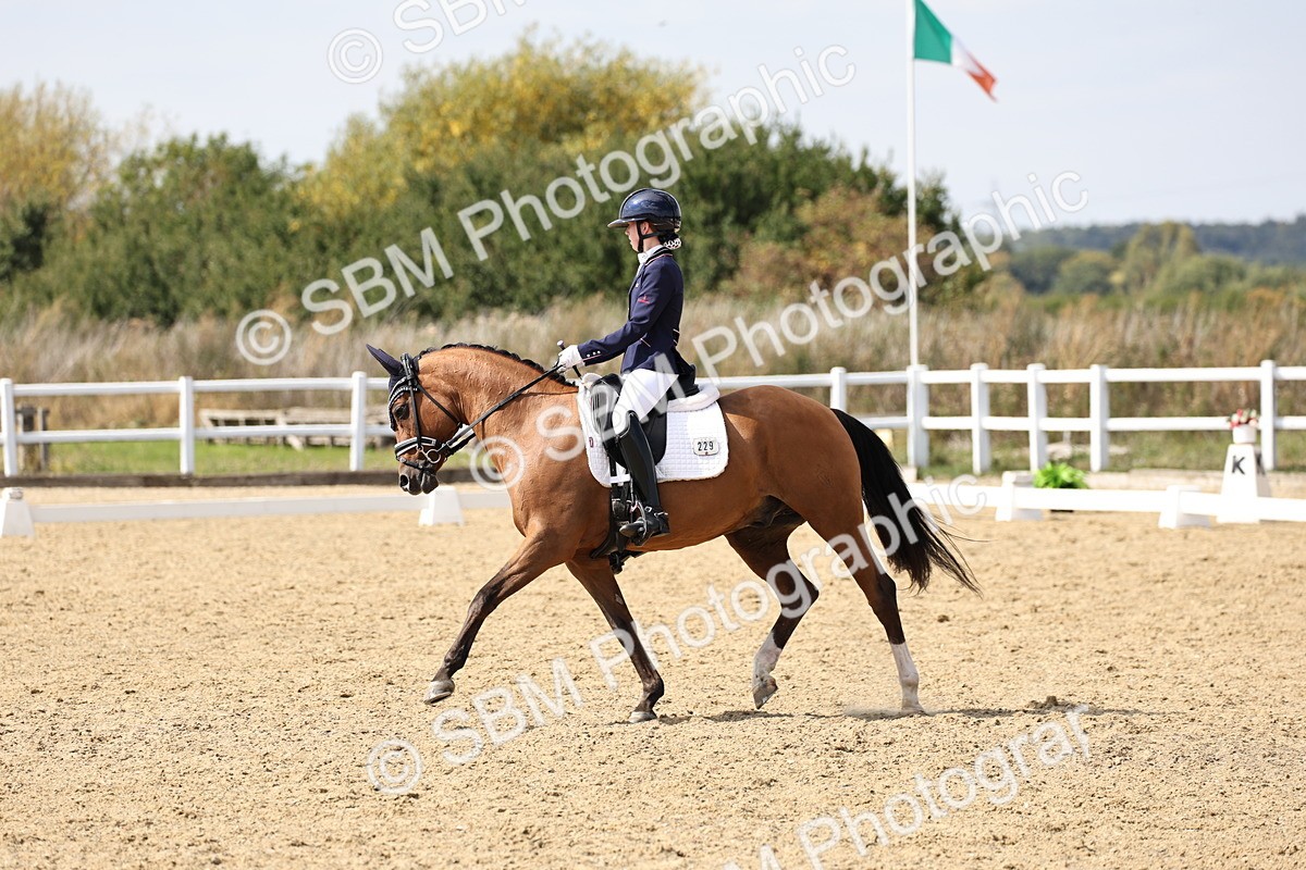 SBM_014832 - Class 7 - Medium 3