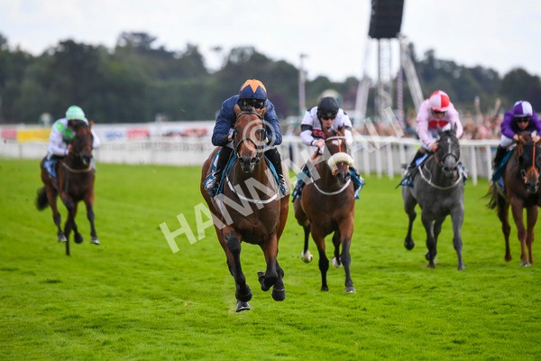 290723-Race 4-Blue Prince-0684 - Race 4 4.00pm 50K ITV7 Weekly Jackpot Nursery Handicap
