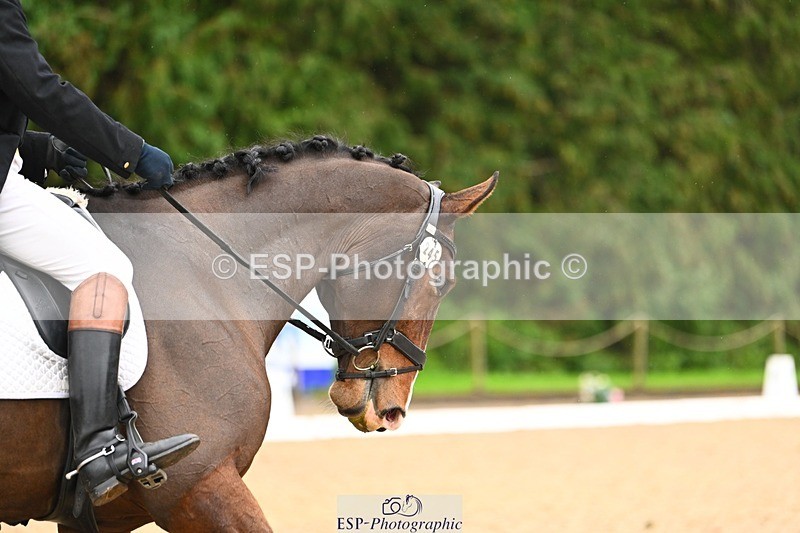 231021-122205-14936 - 245-AVALON.EXCHANGE-Simon.Vatcher-DR