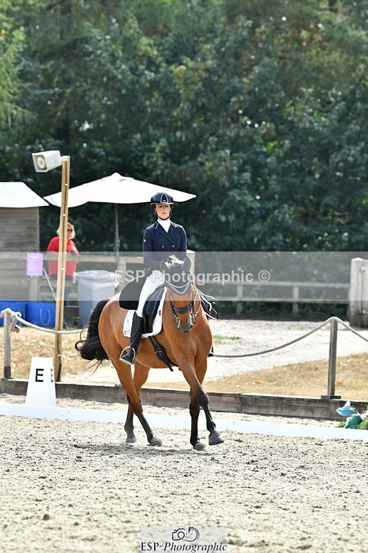 260802A-153327-07476 - Intermediate Bronze