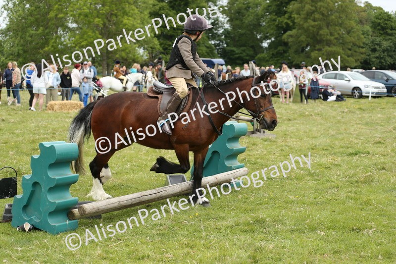 20250517-1166 - Class 21 - Novice Working Hunter