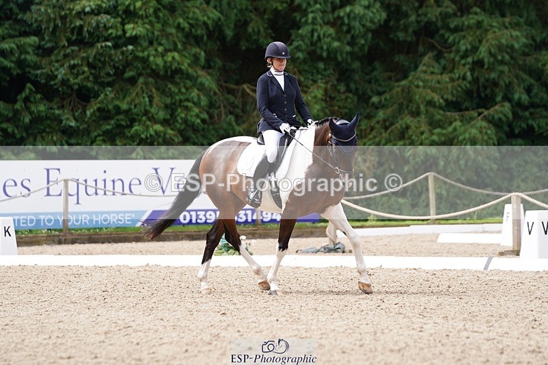 240721-113318-07832 - 124-Sophie_Savage-Two_Tone_Ted