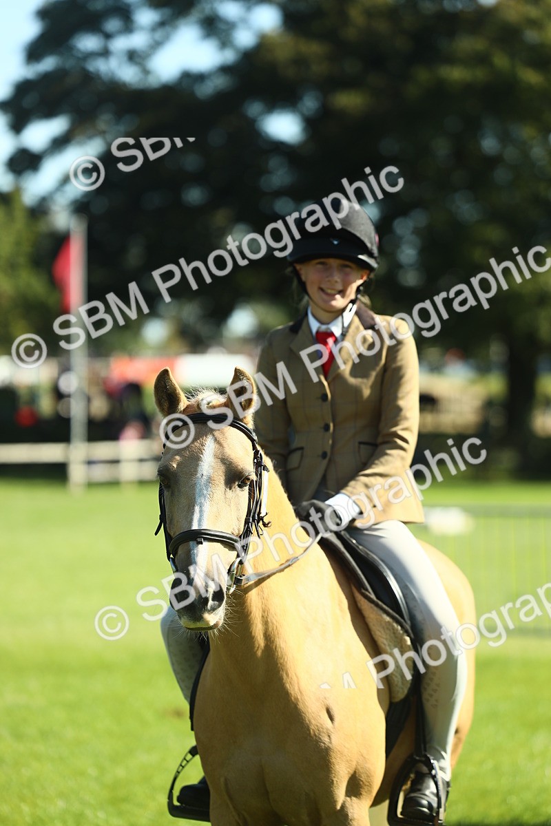 SBM_39050 - S29 - Novice & Newcomers Working Hunter Pony