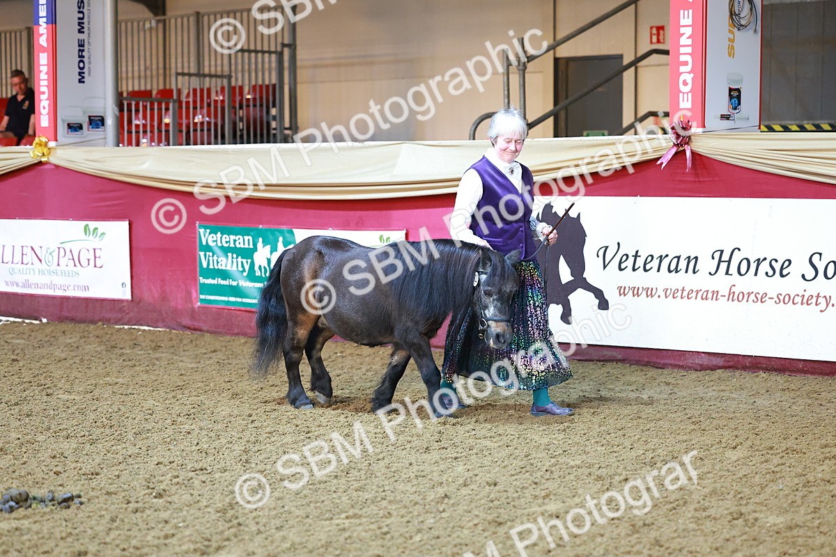 SBM_14665 - Class C - Novelty champ
