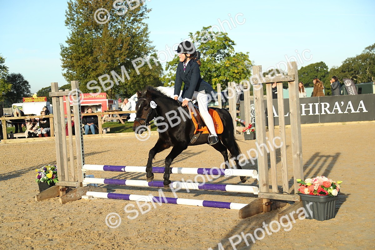 SBM_34847 - J5 - Junior Pony 50cm Championship
