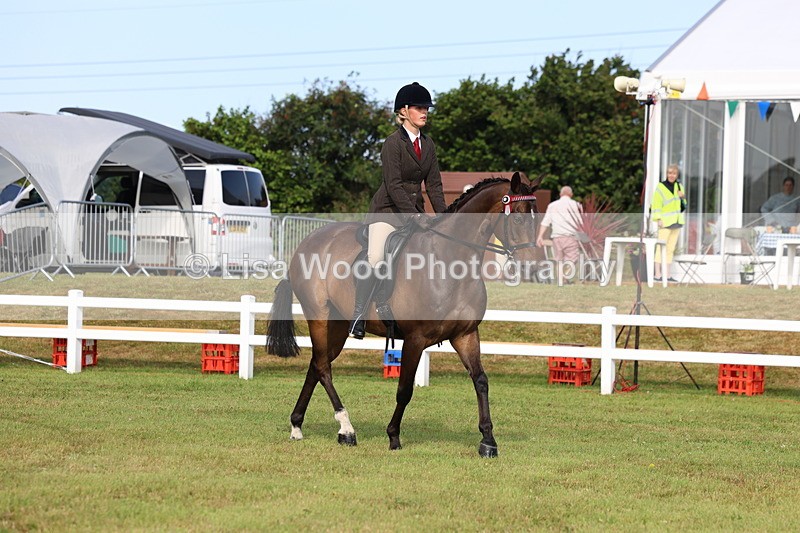 3E7A8257 - Class 2: Rising Star Large Hack/Riding Horse