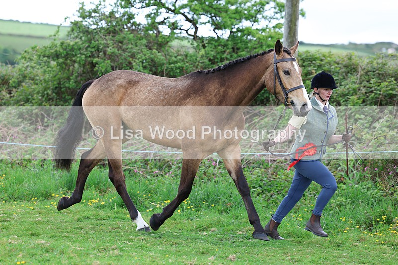 3E7A0831 - In Hand Championship