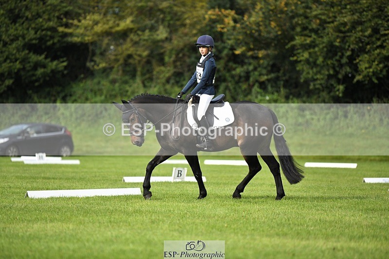 230826-091817-15078 - Sections C & D 9 to 10am