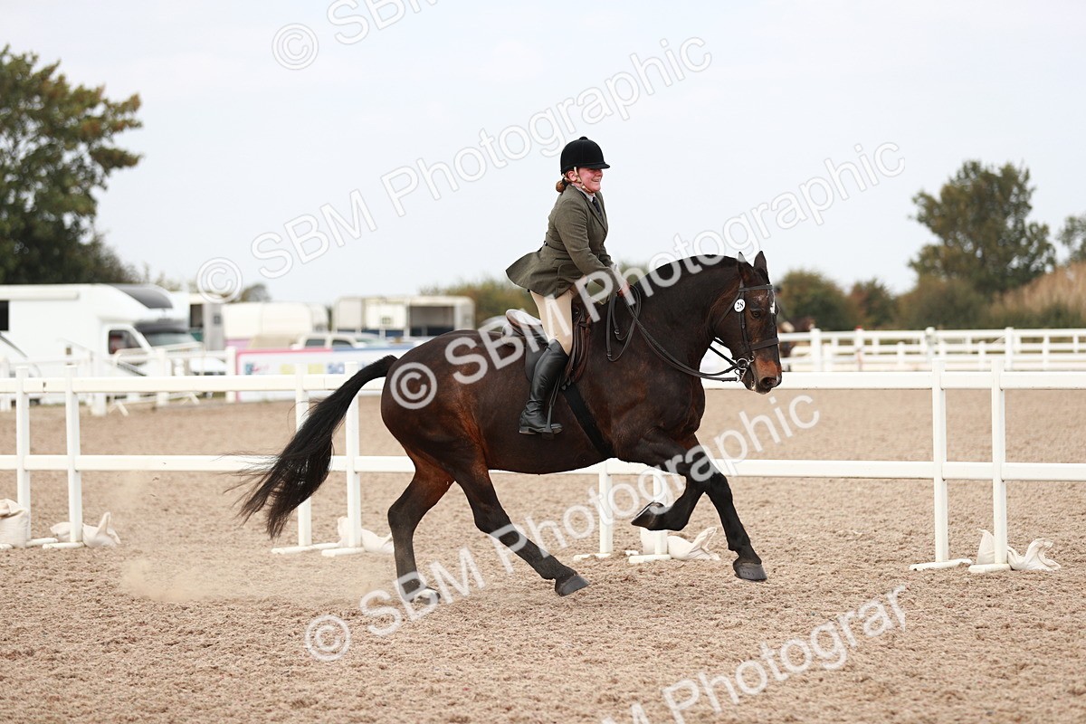 SBM_16686 - Class 214 Ridden Cob