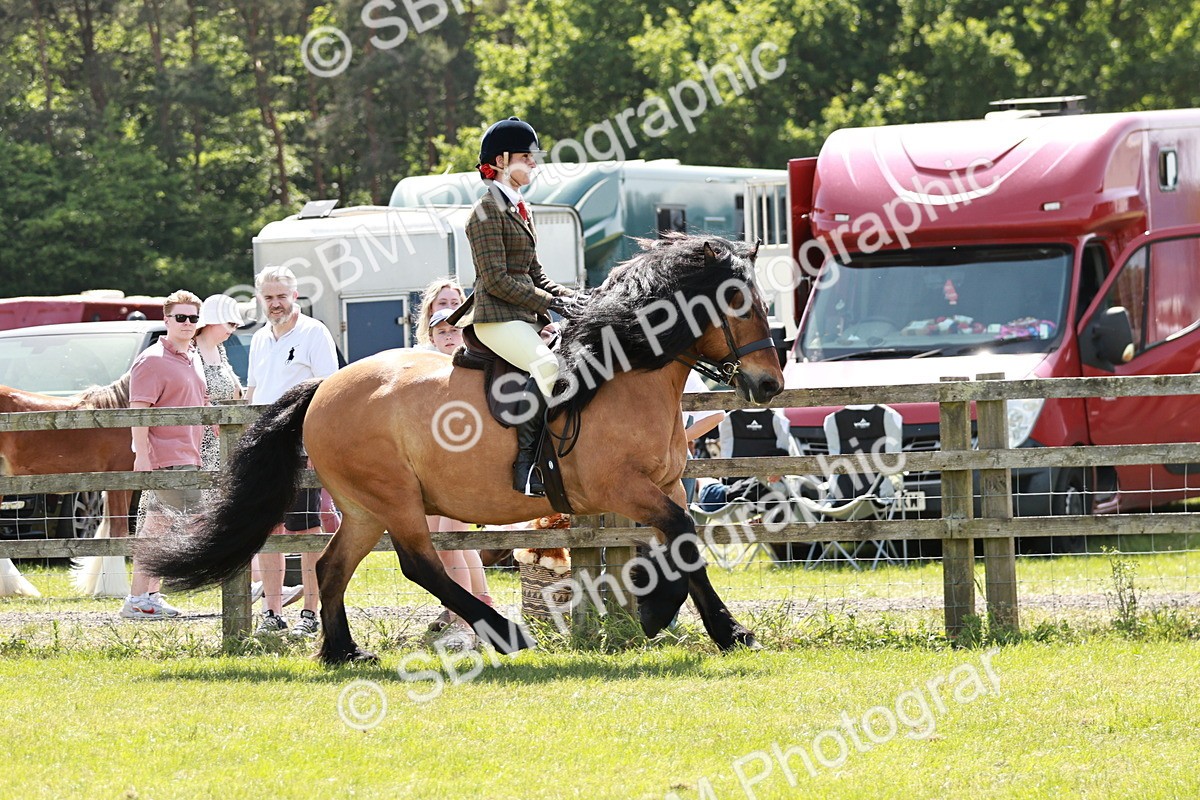 SBM_07046 - Class 26-30 - Mountain and Moorland Ridden
