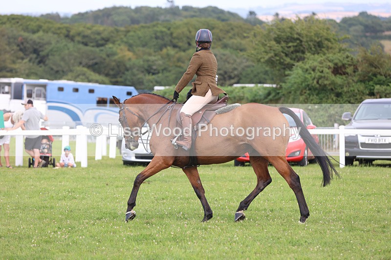 JPP_4122 - Class 24: Working Hunter 90cm