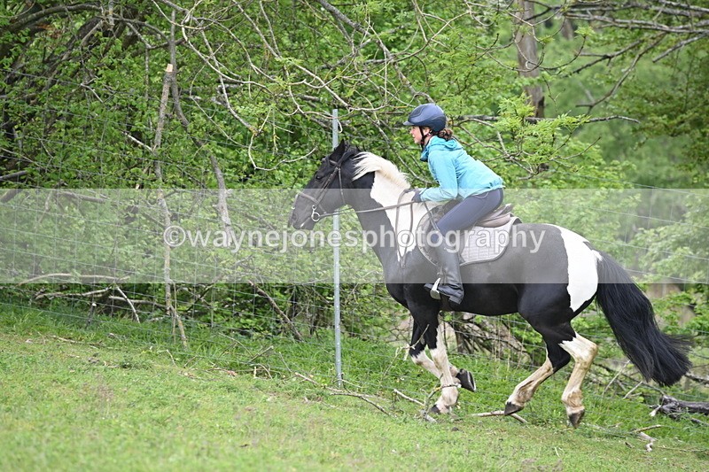 WJ6_3069 - A Camera