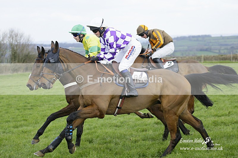 PtP 060322 259 - Blackmore & Sparkford Vale Hunt PtP 06/03/22