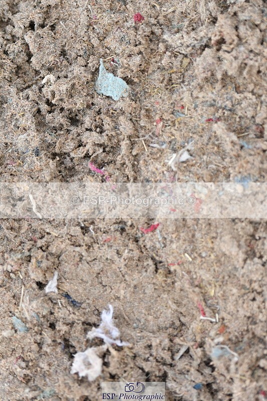 230511A-165746-01455 - Quest Cls 5 Prelim