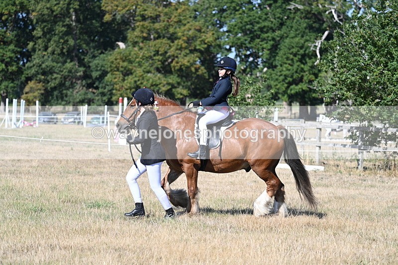 WJ7_3304 - Class 8 Ridden Tack & Turnout