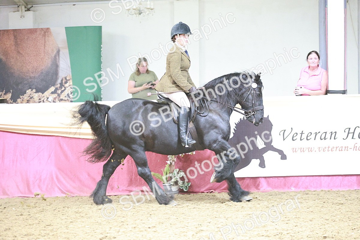 SBM_08831 - Class 12R - Regional Ridden Pre-Vet