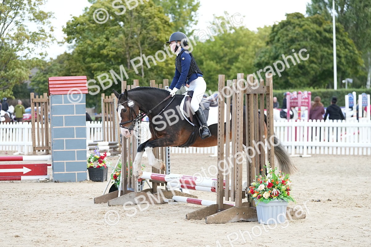 SBM_21106 - J49 - Open 50cm