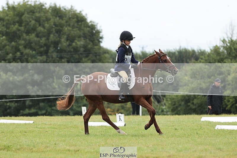 240824X-103119-22252 - D70 Section C and D 9.30 to 11.00