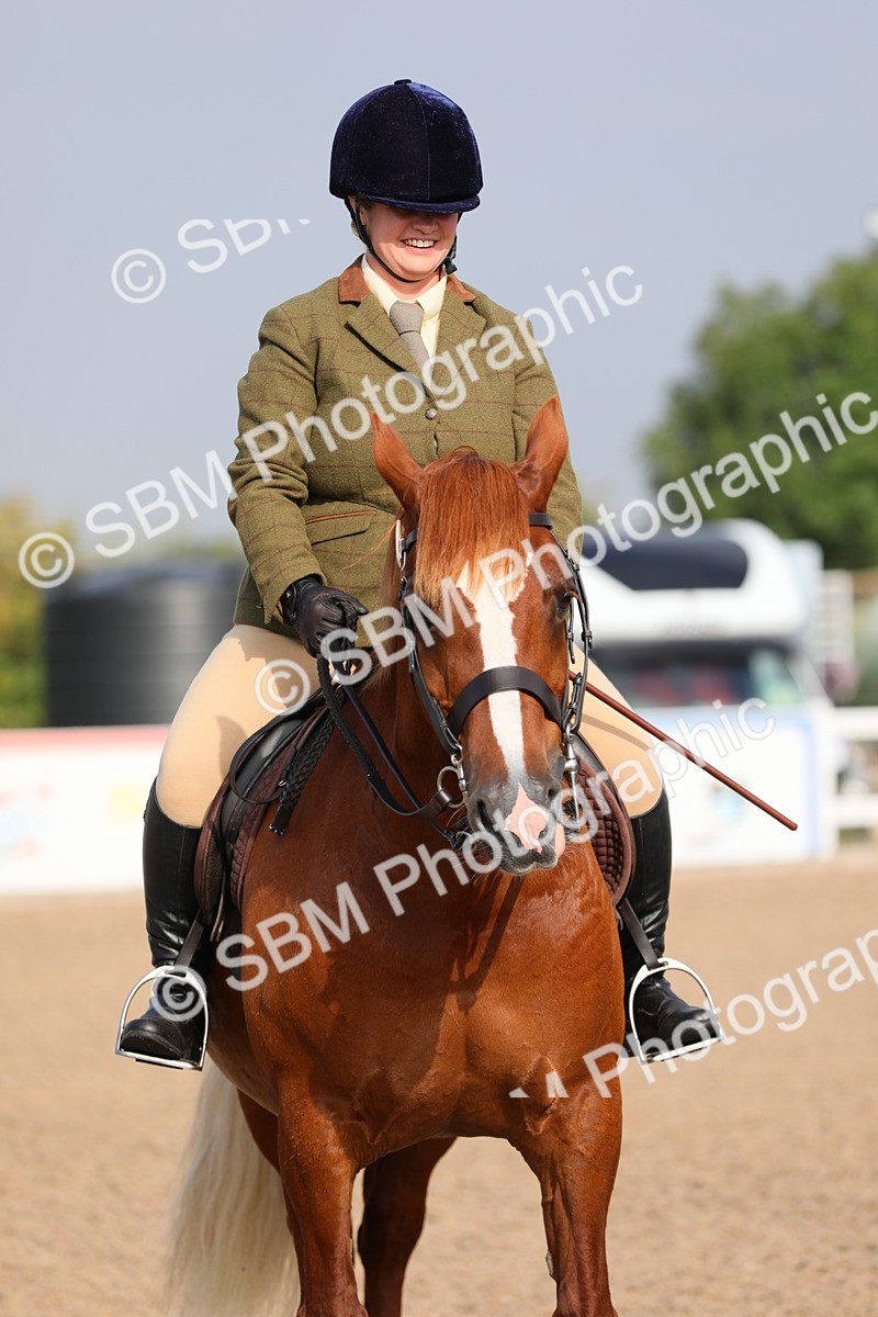 SBM_10136 - Class 302 Ridden M&M -Large Breeds