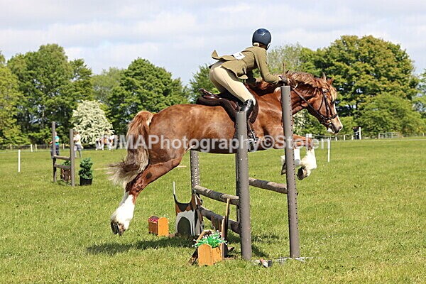 IMG_4338 - Working Hunter