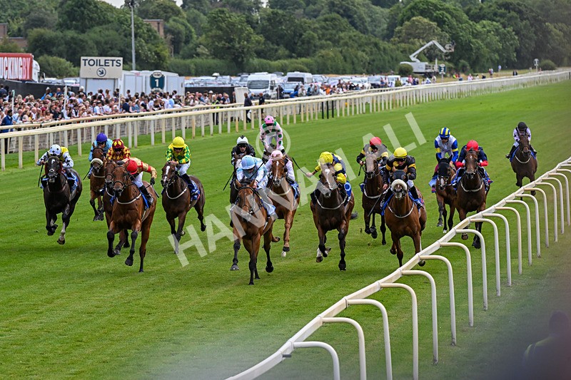 250726-Race 2-Stratusnine-0650 - Race 2 14.00pm Sky Bet Dash