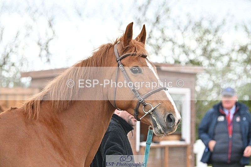 250423-144528-01293 - 2pm to 3pm