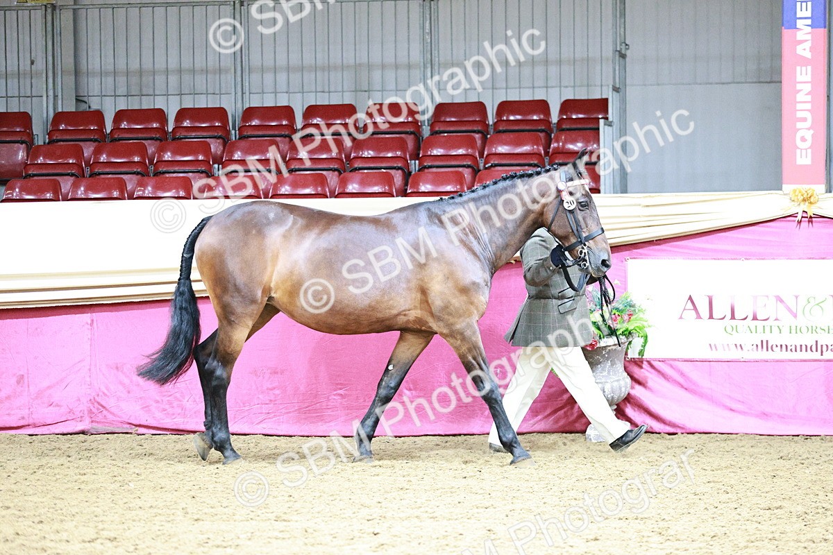 SBM_00834 - Class 2A - Area IH Veteran