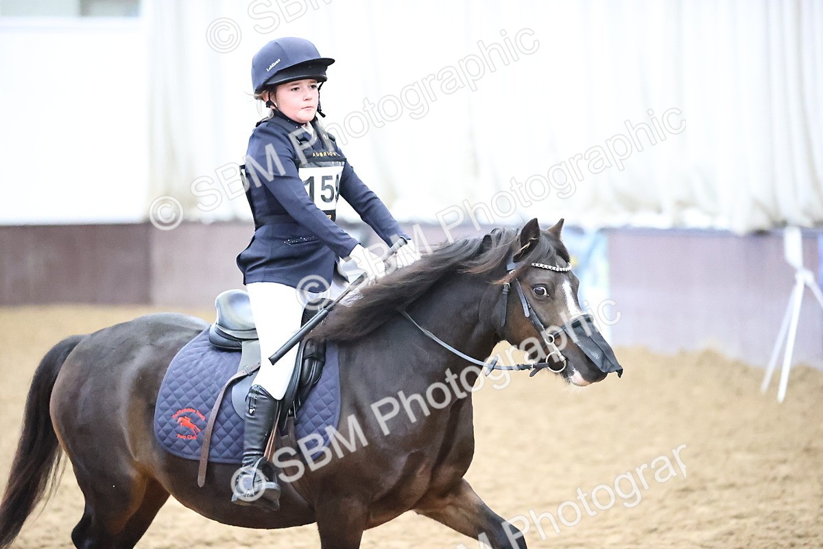 SBM_000136 - Class 2 - The Rug Lady 40cm Area 12 Championship Qualifier
