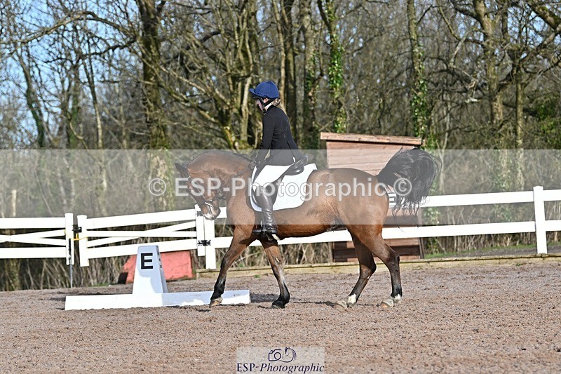 250125-104028-00210 - Dressage - CT Class 4 BE95 (80cm)