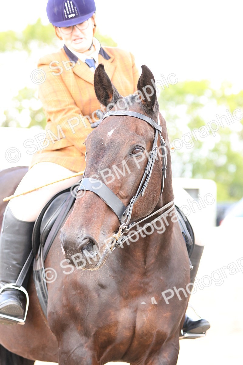 SBM_13563 - Class 212 - Ridden Hunter  - Large