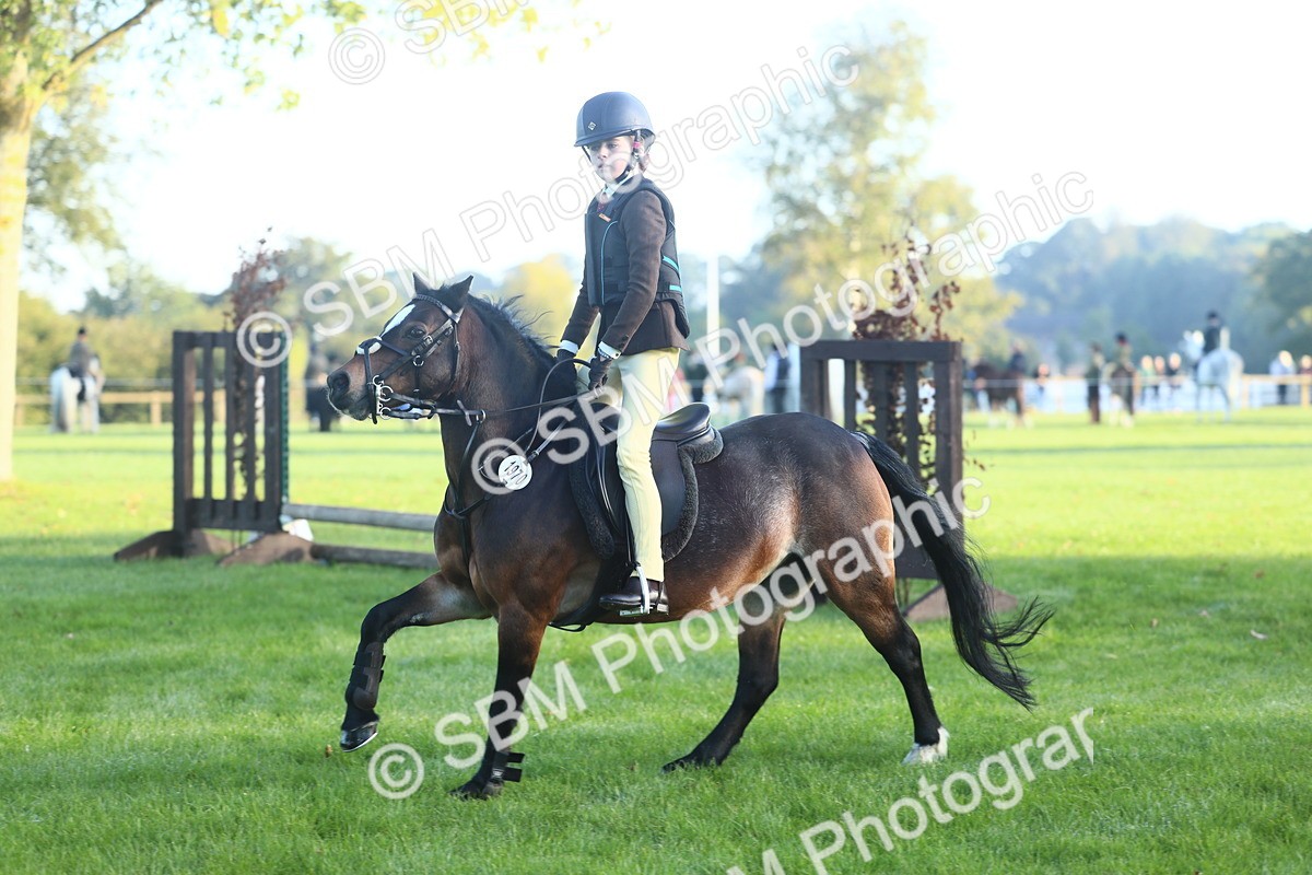 SBM_37303 - S29 - Novice & Newcomers Working Hunter Pony