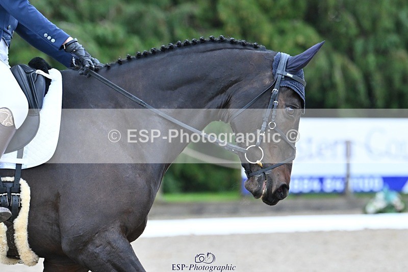 231019-120531-03012 - 112-REHY.HULABALOO-Millie.Rogers-DR