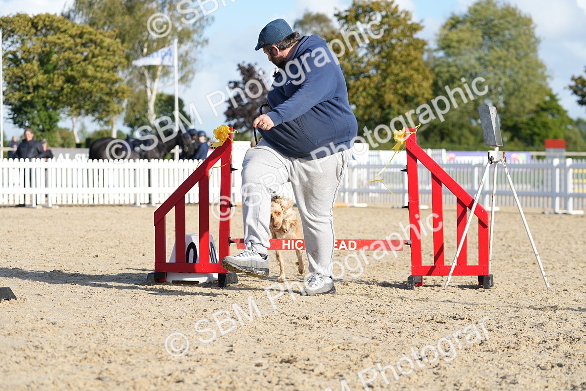 SBM_28980 - J43 - Horse & Hound Open 50cm